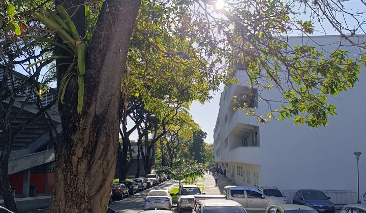 Análisis del Servicio de Pago Móvil de la Banca Pública de Venezuela