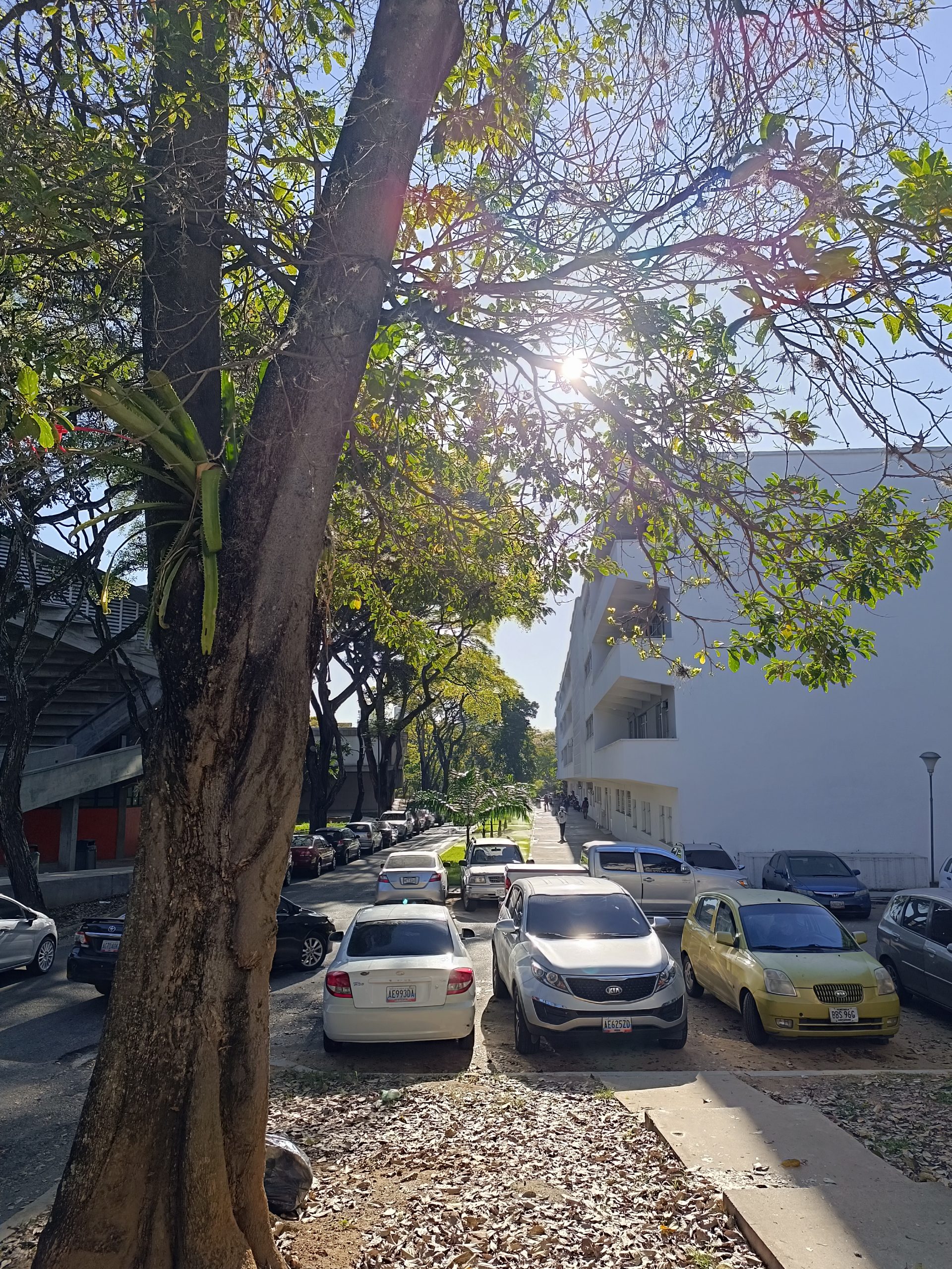 Un usuario en Venezuela utilizando su teléfono inteligente para realizar un pago móvil en un establecimiento comercial.