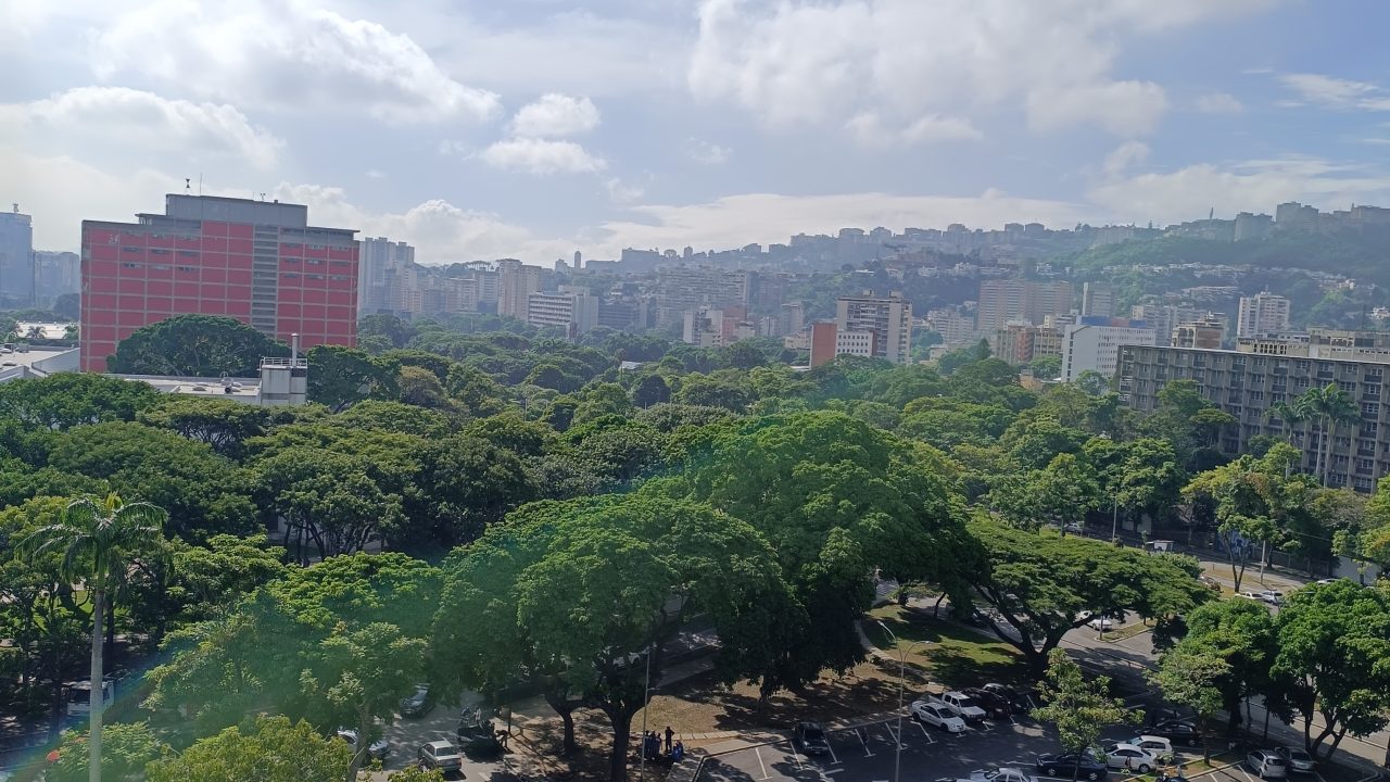 Análisis de “Mi Pedido Ya”: ¿Cómo funciona la app de delivery en Venezuela?