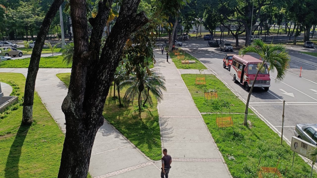 Análisis de “Patria Digital”: La Plataforma del Gobierno Venezolano