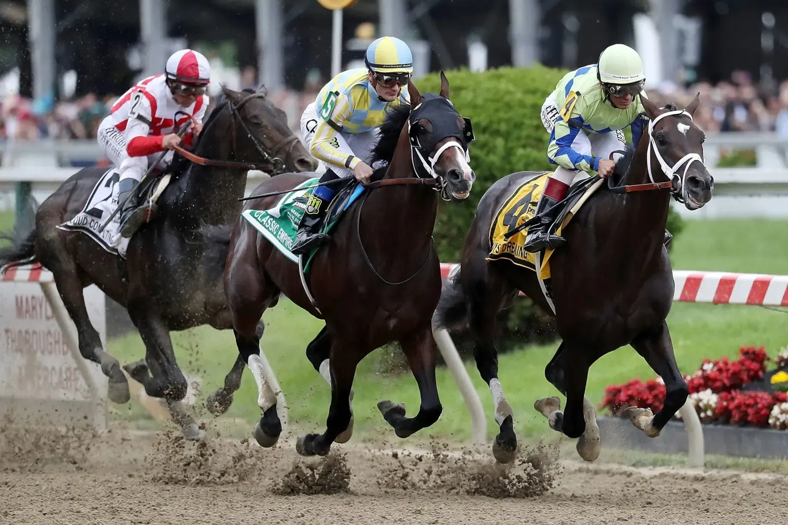 A horse and jockey crossing the finish line at the Preakness Stakes, with spectators in the background.