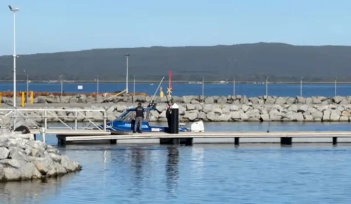 Third Fatal Shark Attack in Australia as Diver Killed Off Western Coast