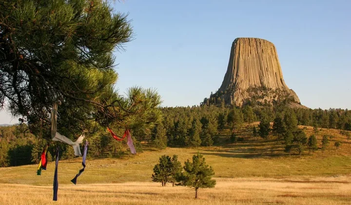 Wyoming Committee Advances Sweepstakes Casino Ban, Targeting 2027 Legislative Session